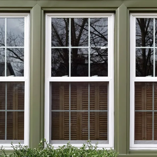 Three green-framed, white-trimmed windows with a tree reflected in the glass. Wooden blinds are visible at the bottom.